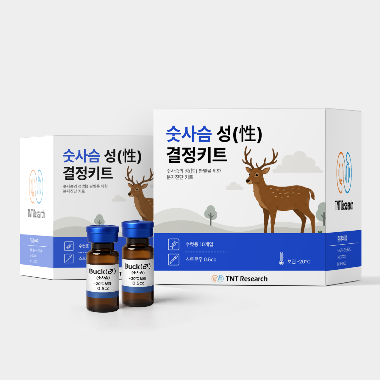 수사슴 성결정 키트