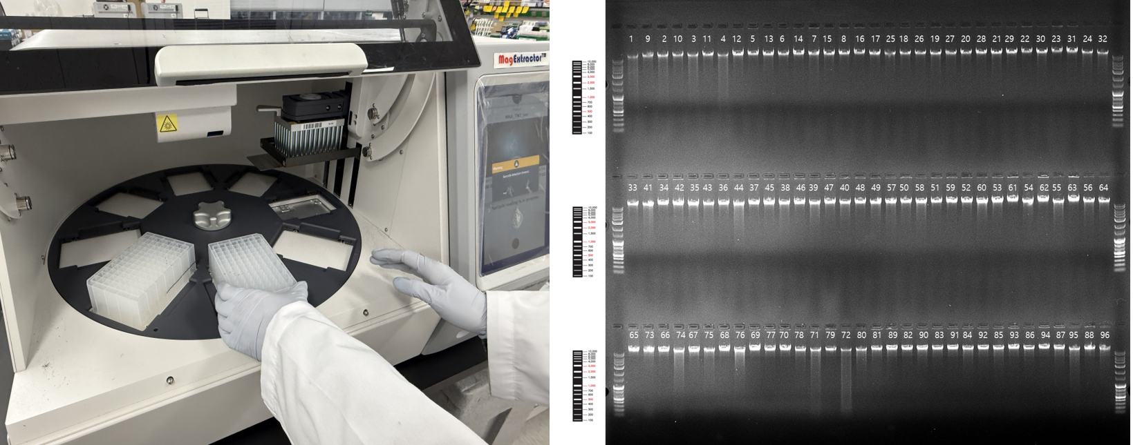 Automated Nucleic Acid Extraction System