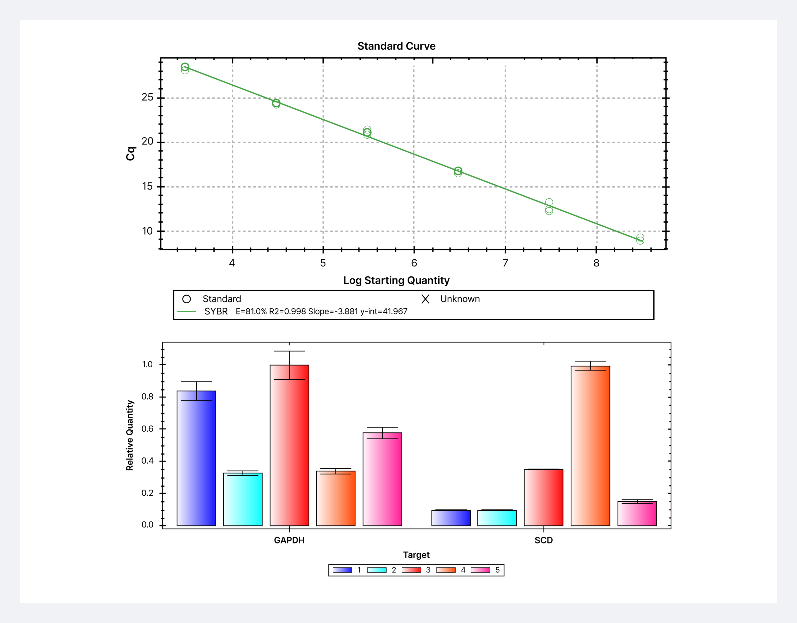 Real-Time PCR